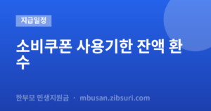 소비쿠폰 사용기한 잔액 환수