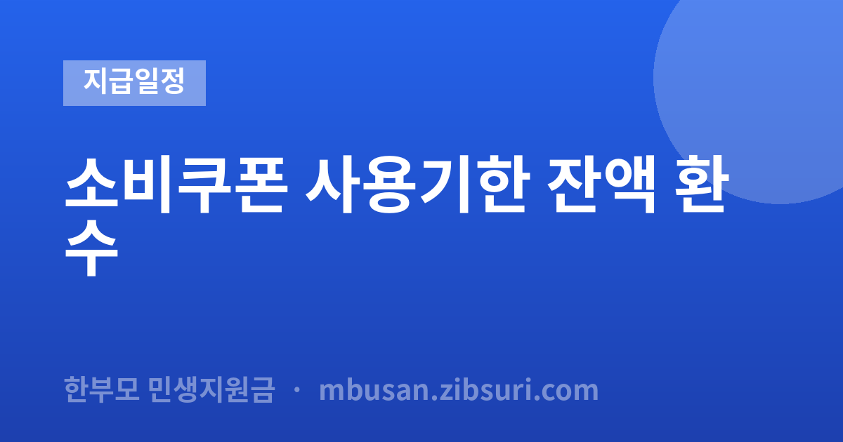 소비쿠폰 사용기한 잔액 환수